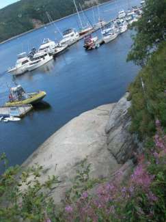 tadoussac 199.jpg